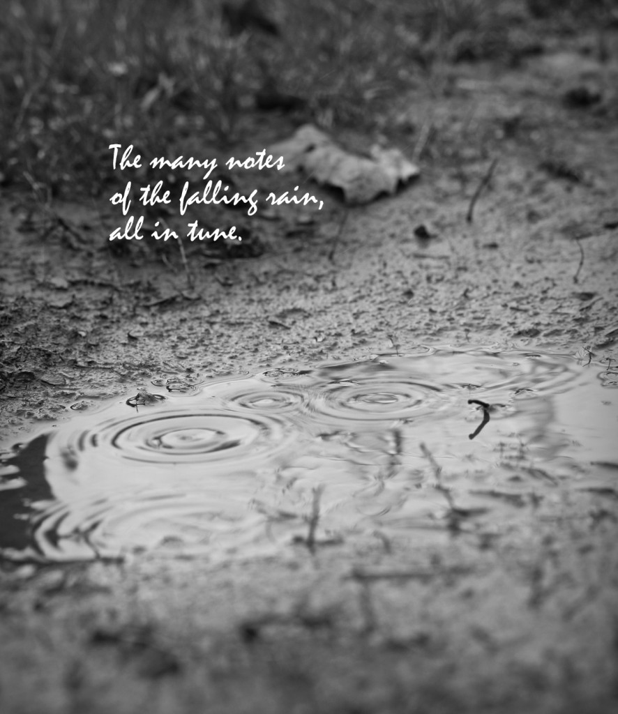 adiel_rain_haiku The many notes/of the falling rain/all in tune. (haiga)